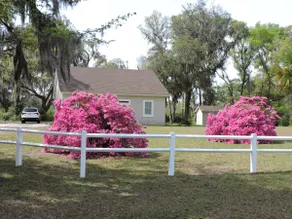 Harris Neck National Wildlife Refuge Cabin - Suite B - Image 3