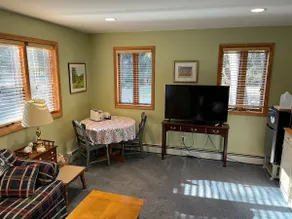 Cozy New Paltz apartment (no cleaning fee) - Image 4