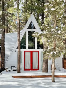 Mid-Century A-Frame in the Pines - Image 2