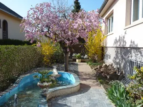 3* apartment in a villa, near Strasbourg - Image 2