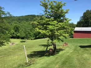 Little Washington, VA- Location! Views! Privacy! - Image 3