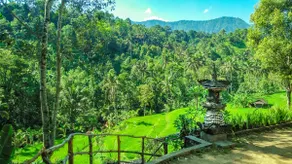Buda's Homestay Lemukih - Mountain View Bungalow - Image 2