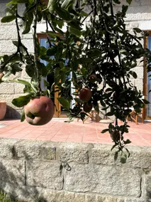 Lagar da Vela - Image 3