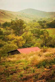 Cantarranas Ranch - Image 3