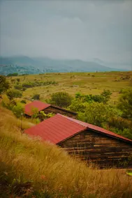 Cantarranas Ranch - Image 4