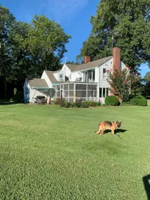 Entire River Front Home - 4 Bedrooms 4.5 Baths - Image 4