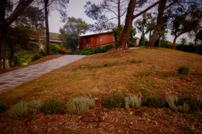 Arrabia Bunga Douro - Image 2