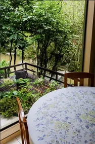 Chácara 01 - Pool - Campo Alegre - Image 5