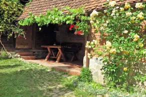 • CASA LOPO • Ferme de vacances à Hirtendorf au pied des Carpates en Roumanie - Image 4