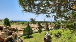Alekos Beach Houses-Angelo - Image 2