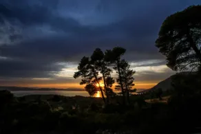 Vivez votre conte de fées au milieu de la forêt avec une vue magnifique sur la mer - Image 4