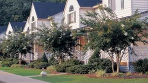 4BDR Hilton Powhatan Resort. Sleeps 12. Pools - Image 2