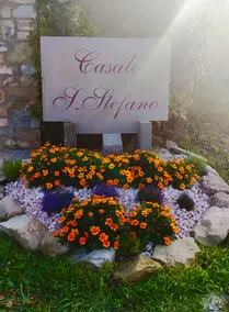 Casale S. Stefano - Image 5