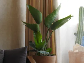 Bright flat near beach - good for remote workers - Image 2