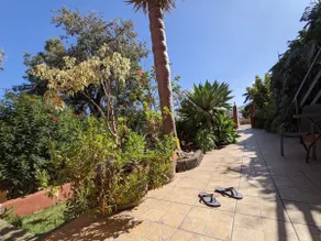 Large holiday house on a finca with ocean views - Image 4