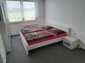 Šumava apartment with a beautiful view - Image 3