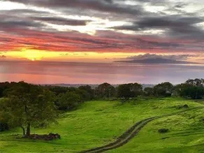 Hike on Scenic Trails at a Luxury Home on 7 Acres - Image 5