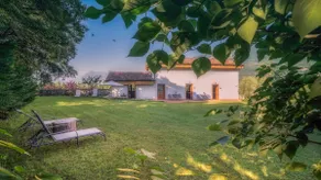 Villa La Limonaia - Image 3