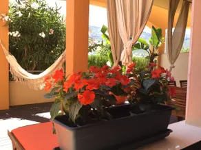 Denia Deluxe lejlighed. Strand. Pool. Gratis wifi Parkering. Aircondition - Image 2