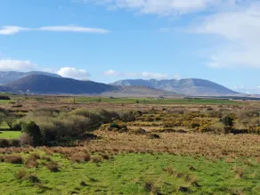 Mullagh Pond House, free boat tour, beaches - Image 4