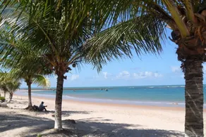 Cozy apartment in a beachfront condominium. - Image 4