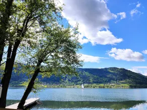 Dreaming by the lake | 10 m from the lakeshore | For yourself! - Image 2