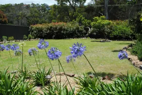 Gray Cottage, Eden, New South Wales - Image 2