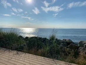 West Beach Retreat Whidbey Island! - Image 3