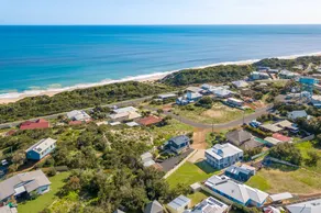 Bigorneau de la plage - Image 5
