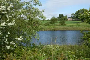 Picturesque Country Lodge | near St Andrews - Image 3