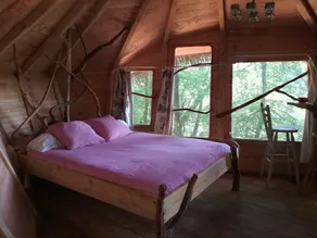 CABANE DU TAPIS D'OR – IN THE TREES - Image 2