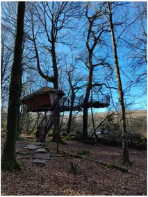 CABANE DU TAPIS D'OR – IN THE TREES - Image 4