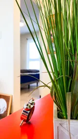 Arboleda Living - Image 2