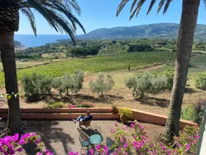 Charming Villa with amazing sea view in Porto Azzurro - Image 3