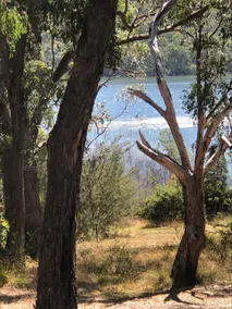Sambarville - Image 5