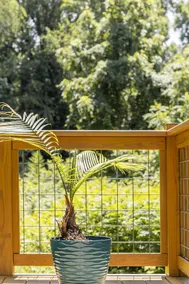 Spacious & Cozy Oasis in Asheville - Image 5