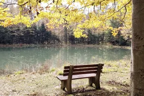 Secluded Cabin with Lake - Views - Near Resorts - Image 2