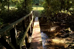 Secluded Cabin with Lake - Views - Near Resorts - Image 5
