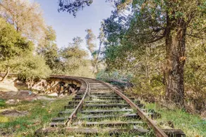 Hot Tub | Disney Train Track | Secluded 20 acres - Image 3