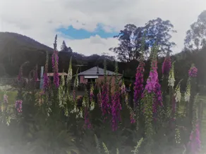 Post House Cottage - 10 Minutes to Mount Field - Image 4