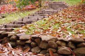 Lyrebird Cottages Mountain Ash Cottage, Yarra Valley - Image 5