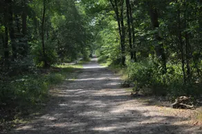 Peace and quiet at the Veluwse Vijf in Epe - Image 4