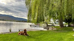 Perfect 5bdr family vacation home with 100 feet of private lakefront - Image 5