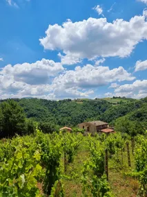 Casa Vacanze Gli Allori - Image 2