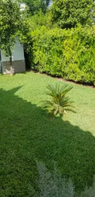 Villa 10 minutes from Seville - Image 5