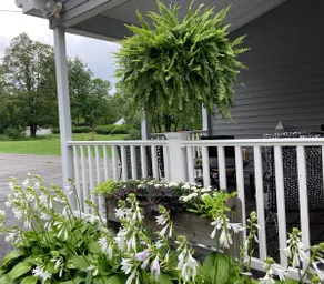 Park Street Place - Image 2