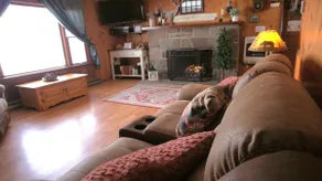 Lake View Cabin - Perfect Summer Getaway *NO FEES* - Image 3