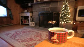 Lake View Cabin - Perfect Summer Getaway *NO FEES* - Image 2