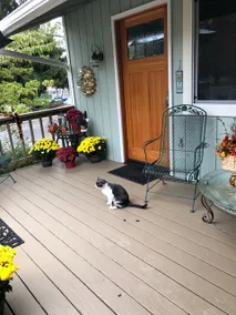 Perfect Location! Entire house, pet friendly! - Image 2