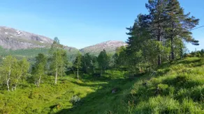 A postcard from Norway - Image 2